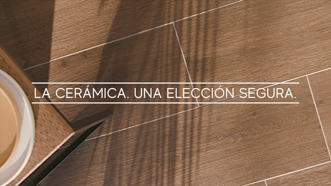 Imagen representativa video