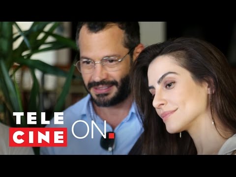 Qualquer Gato Vira-Lata 2