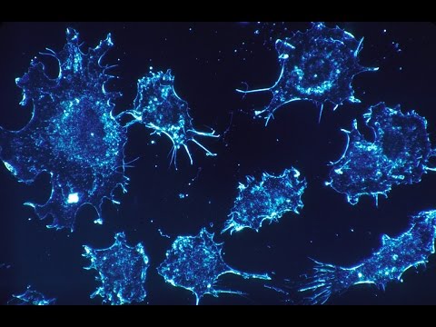 Per prostatite ciò compresse meglio Prostamol terapeutico del farmaco