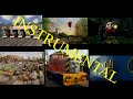 Thomas Friends Songs Volume 4 Instrumental
