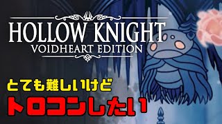 【HOLLOW KNIGHT】涙の都 探索 そしてソウルの聖域へ｜トロコンを目指して #10【ホロウナイト】