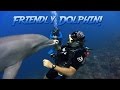 Friendly Bottlenosed Dolphin JONATHAN BIRD S BLUE WORLD