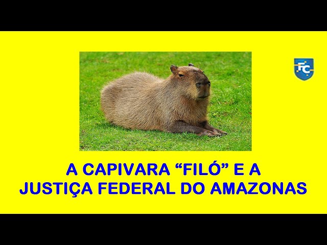 A CAPIVARA “FILÓ” E A JUSTIÇA FEDERAL DO AMAZONAS
