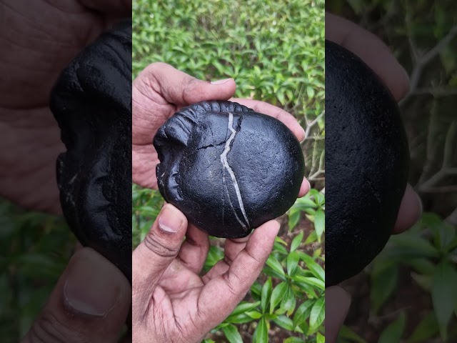 Janeudhari White Shaligram Shila For Vastu & Puja Worshipped To Attract Peace, Prosperity, And Spiritual Liberation video