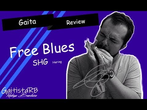 Gaita Hering Diatônica Free Blues C Dó 7020C Com Case