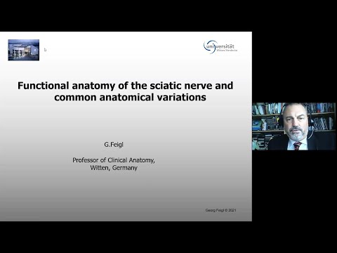 Functional Anatomy of the Sciatic Nerve and Common Anatomical Variations.