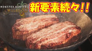 シームレスになったモンハンが楽しすぎる!!新要素が続々と明らかに!!【モンスターハンターワイルズ】【MHWs】