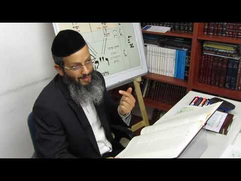 נענוע הלולב- ב' - תשע