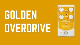 Video thumbnail for Origin Effects Halcyon Gold Overdrive by Pedalboard of the Day
