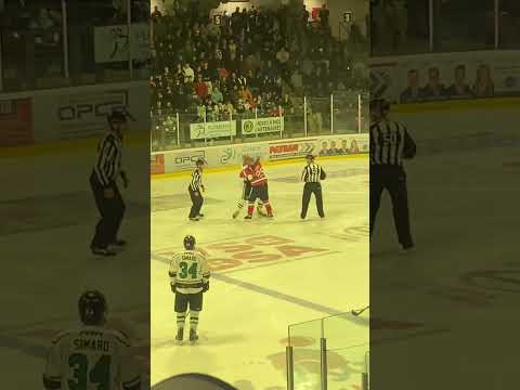 Bagarre LNAH-Donald BrashearVSDereck Parker(Jonquière 2023)