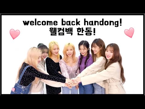 ✨ welcome back handong / 웰컴백 한동! ✨
