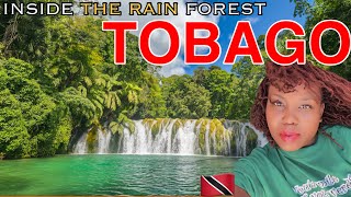Inside the Rain Forest In Trinidad and Tobago! 🇹🇹