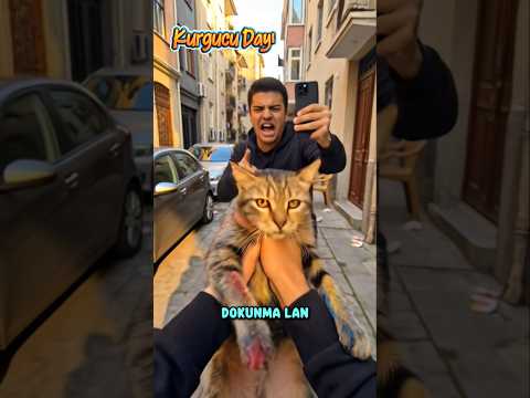 Yavru Kediyi CANİ Adamın Elinden Kurtardım...😥💔