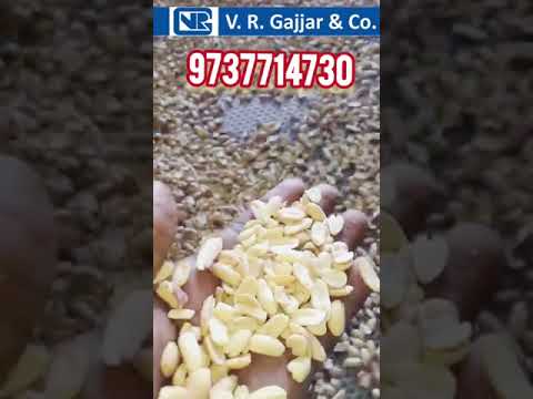 Peanut Blanching Machine In All India