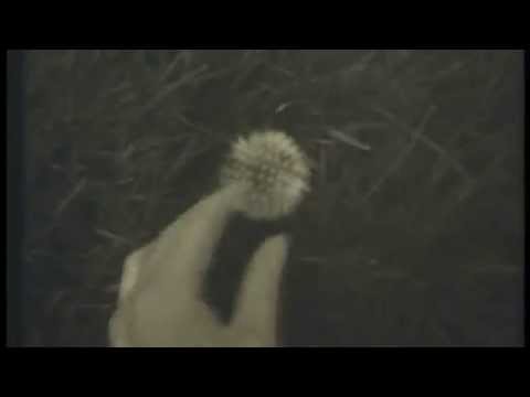 download lagu mp3 mp4 Christian Music Archive org, download mp3 Christian Music Archive org please feel free if you like to download, download here Christian Music Archive org