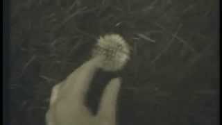 Christian Loeffler - Mt. Grace