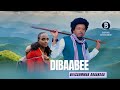 DIBAABEE Oromo Music By Bilissummaa Araarsaa