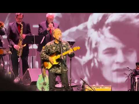 The Letter - The Box Tops - Live In Lorain Ohio - 4-4-25