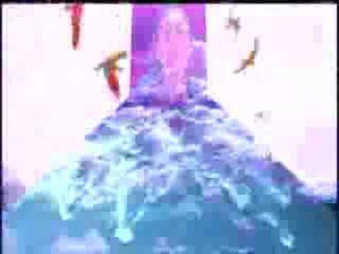 Black Dice "Smiling Off" (Official Video) - DFA RECORDS