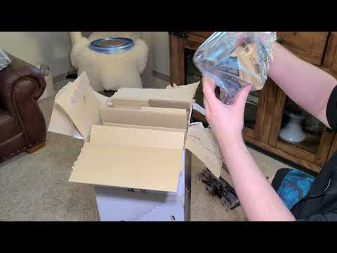 Dyson Ball Animal Unboxing🥰