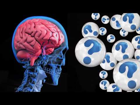 1.4. – Die Apokalypse ist geplant