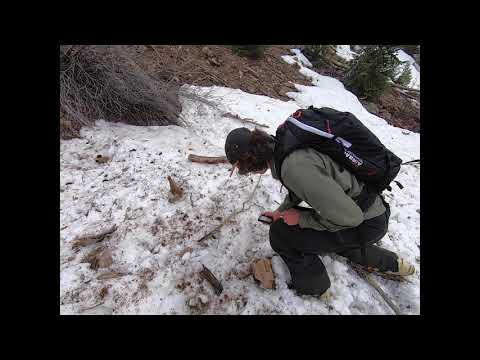 Introduction to Avalanche Companion Rescue