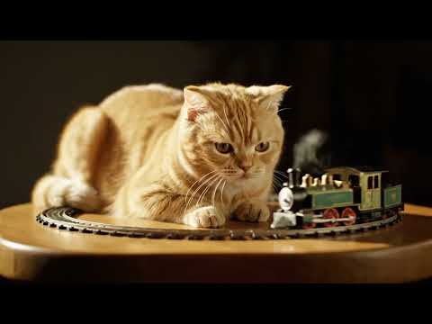 Funny Cat vs Mini Train 🚂🐱 | Cutest Cat Shorts Ever