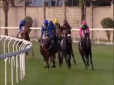 2016.10.22 St. Leger Italiano - Dschingis Secret