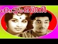 Malayalam Full Movie കുടുംബിനി Kudumbini Prem Nazir Sheela