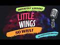 Little Wings karaoke - So What (w/video background)