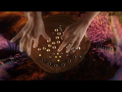 TERRA announcement (SOMA labs)