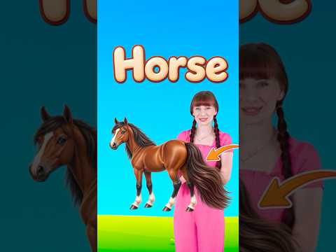 Whose Tail Is It? Guess the Animal! Fun Animal Quiz for Kids #learnenglish