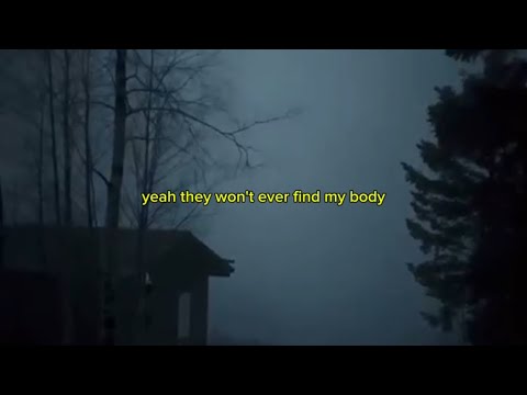 Sky Woods - When I'm Gone (Lyric Video)