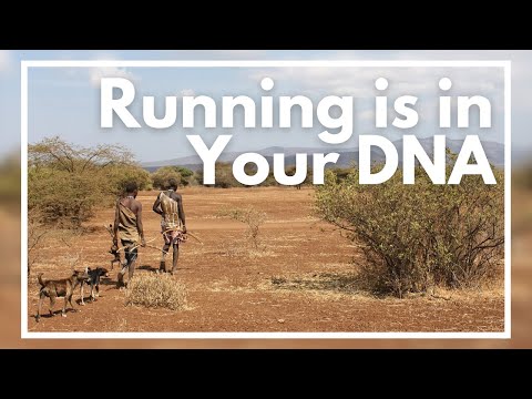 The Anthropology of Running (and Persistence Hunting)