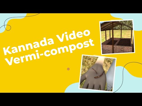 Se è necessario trattare il bambino lyambliya Lanalisi su vermi a bambini invitro