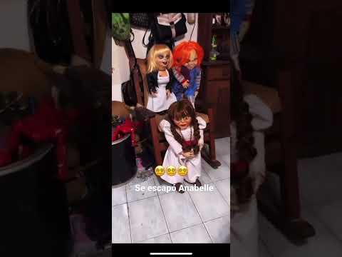 Anabelle escaped 😵‍💫 #fear #humor #mystery #paranormal #anabelle #shorts30challenges