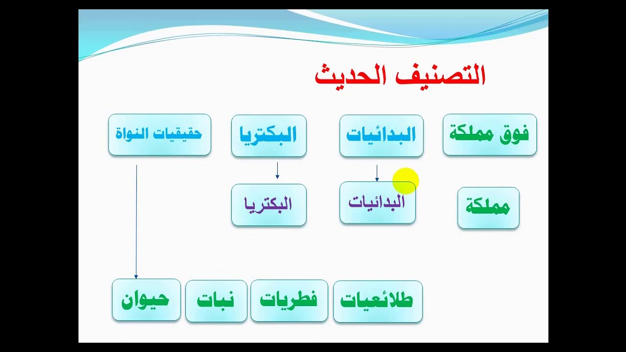 تصنيف المخلوقات الحية