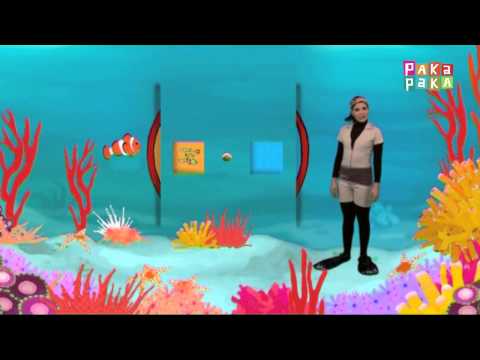 Animapaka I: Pez Payaso (Cap. 15) - Canal Pakapaka