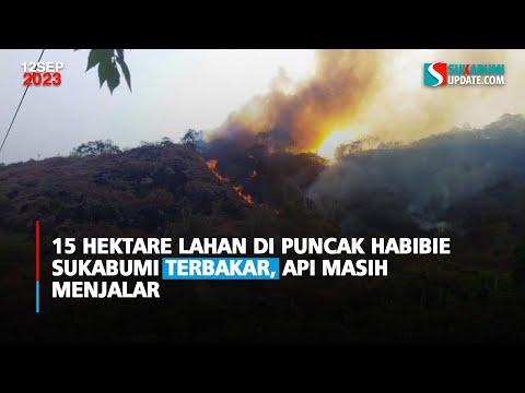 15 Hektare Lahan di Puncak Habibie Sukabumi Terbakar, Api Masih Menjalar