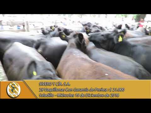 19-12-18 Venta de Vientres - Sivero y Cía. S.A. - Saladillo