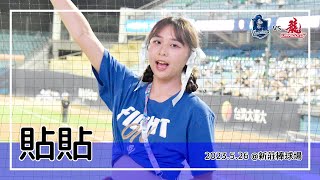 【台湾チア】貼貼 / 2023.5.26 劉俊豪,申皓瑋,蔡佳諺,李宗賢,蔣智賢,孔念恩 應援曲 + 嗆司曲 超強一擊,強悍出擊,GO富邦悍將 [中文歌詞]