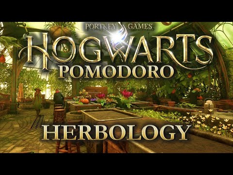 Hogwarts Herbology Class Pomodoro Study Session | Harry Potter Rain Ambience