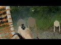 USPSA - Alexis Pena - HOPS 5 19 18 USPSA - Alexis Pena - HOPS 5 19 18