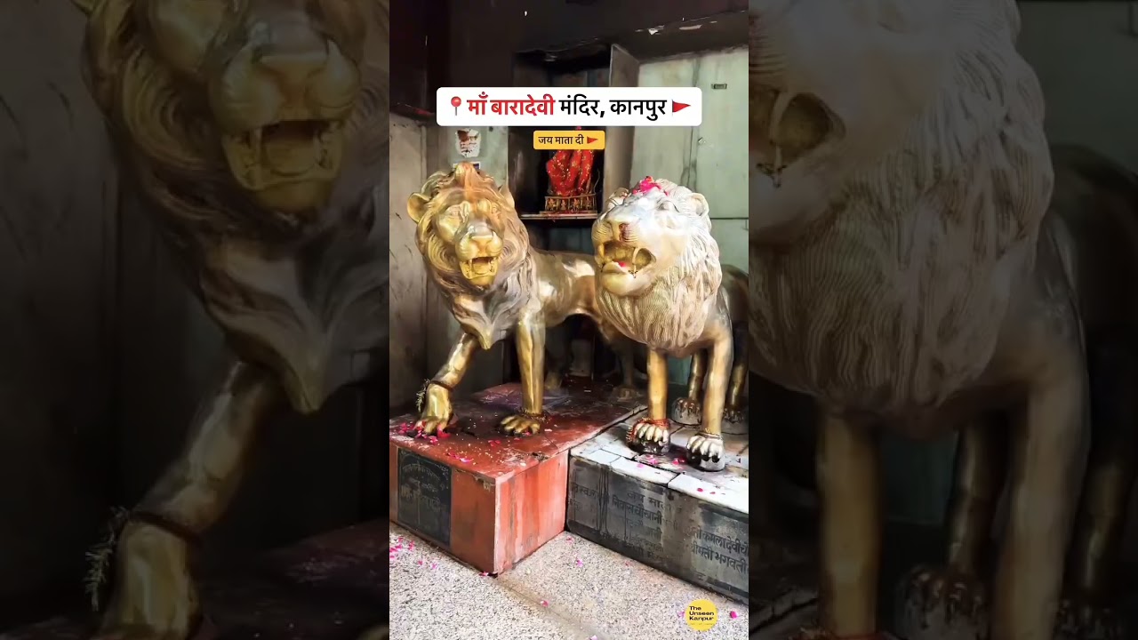 ॐ जयंती मंगला काली भद्रकाली कपालिनी 🌿🌿 ❣️❣️♥️#baradevi #kanpur #bhajan
