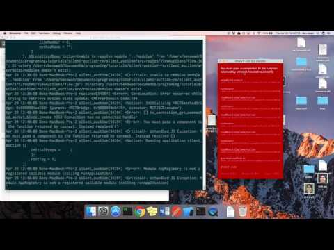 React Native Tutorial Silent Auction App Part 11