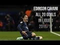 Edinson Cavani - All 20 Goals in Ligue 1 - 2016/17 HD