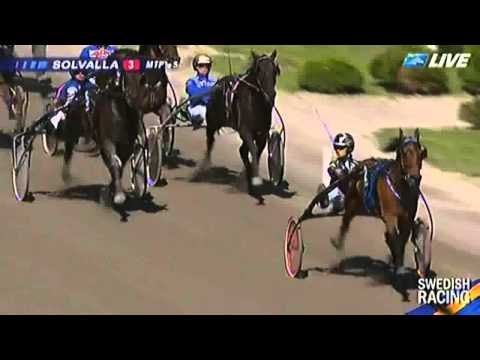 HORSE GYM 2000-loppet_2012_Your Love Lois 1:11,0