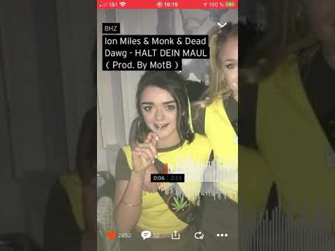 Dead Dawg & Monk & Ion Miles - HALT DEIN MAUL