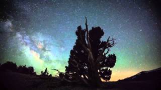 Loreena McKennitt  Ancient Pines