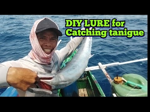 PART2: FISHING TECHNIQUES IN  CATCHING TANIGUE USING DIY LURE